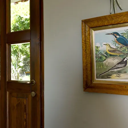 Torre Lara Бельджирате