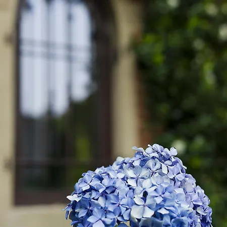 Torre Lara Бельджирате