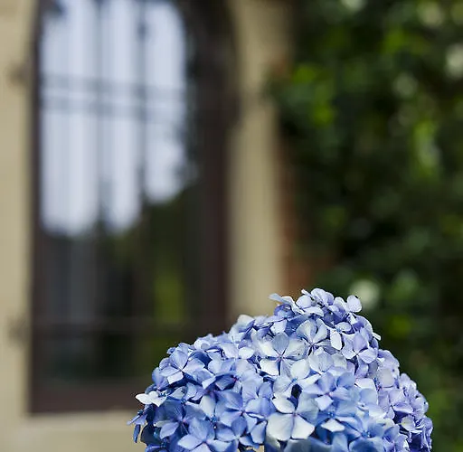 Torre Lara Belgirate